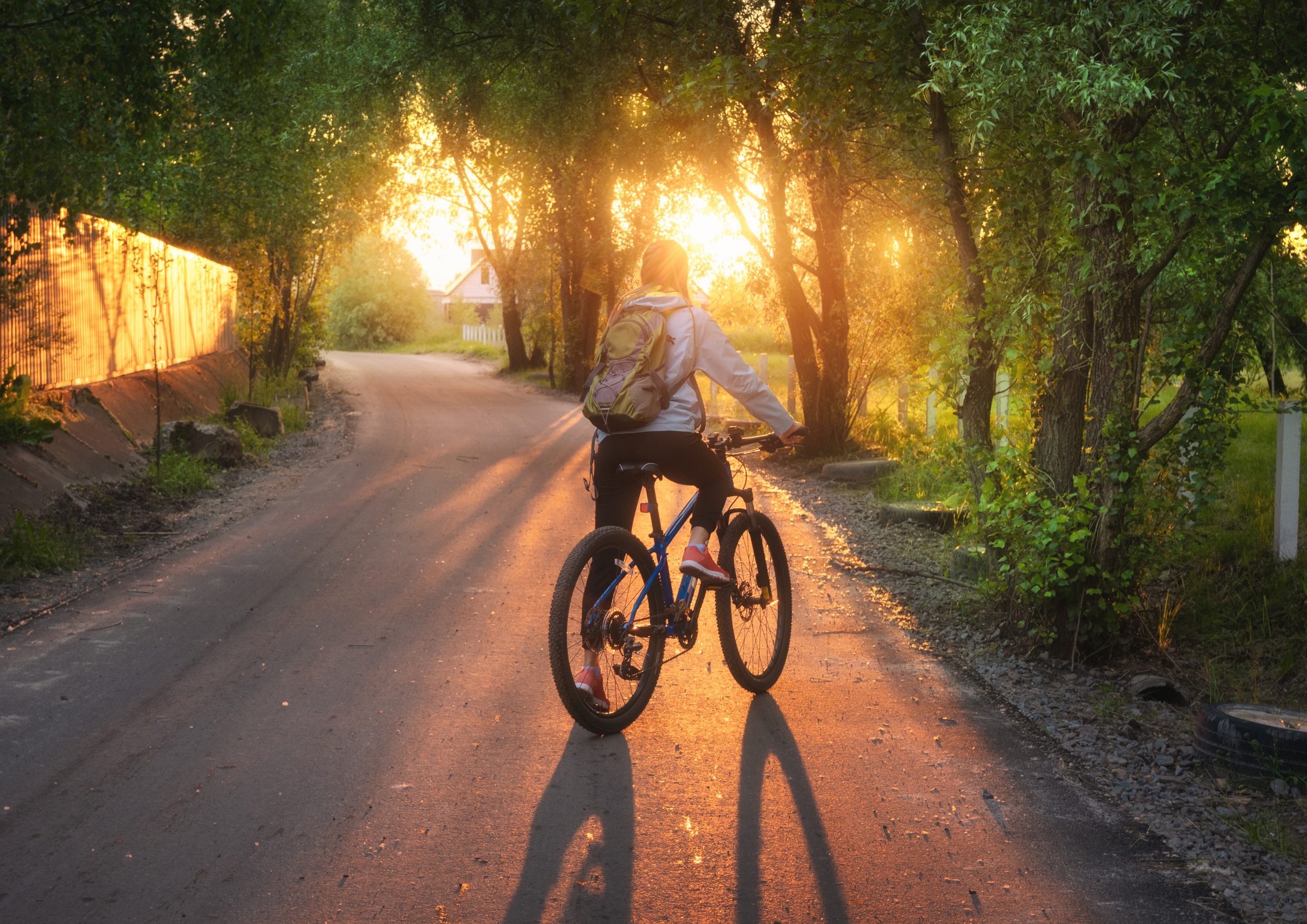 Dia Mundial da Atividade Física: Como as bicicletas podem melhorar sua qualidade de vida?