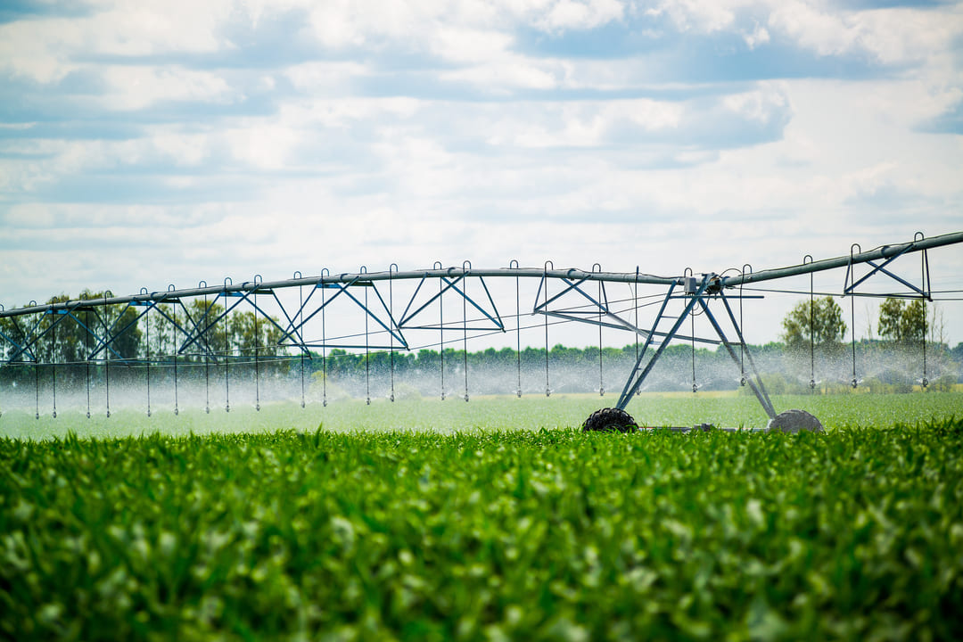 Pivô de irrigação: o que é, quais os tipos e vantagens