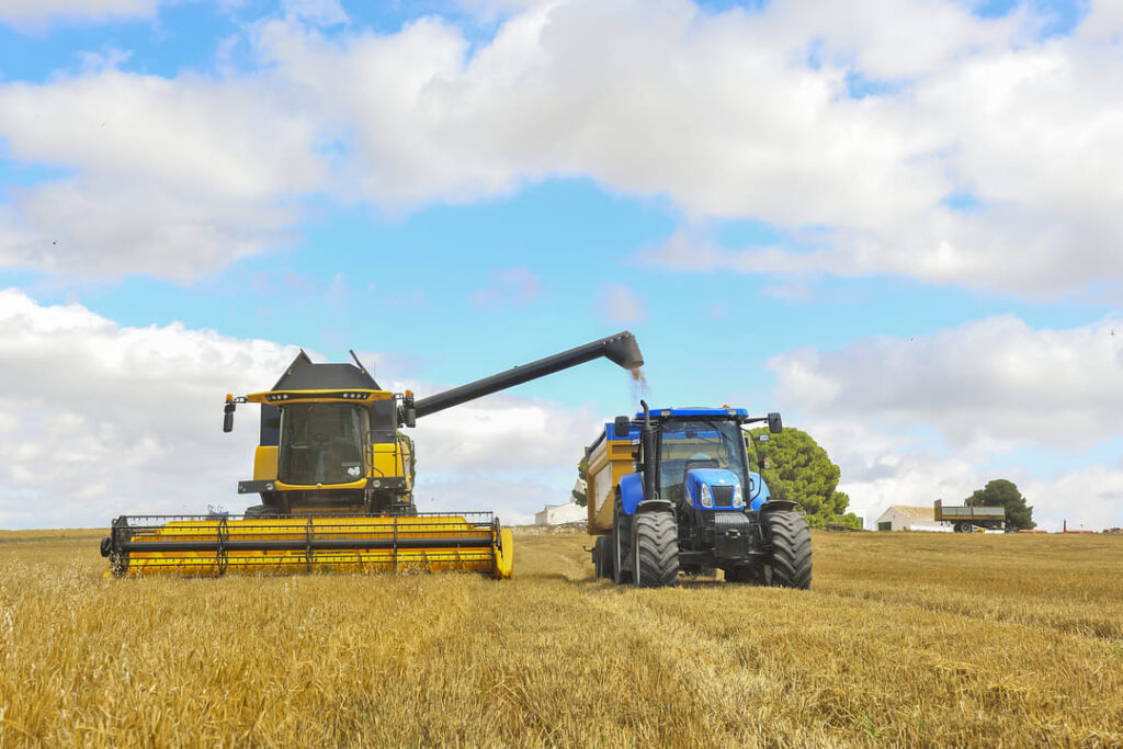 A imagem mostra uma cena agrícola com uma colheitadeira amarela e um trator azul operando em um campo de trigo dourado sob um céu parcialmente nublado. A colheitadeira está transferindo grãos para um reboque puxado pelo trator, mostrando um momento de colaboração entre as máquinas para otimizar a colheita. Ao fundo, pode-se ver uma área rural com árvores e algumas construções, enfatizando o ambiente agrícola. A imagem ilustra a eficiência da moderna tecnologia agrícola na colheita e processamento de grãos.