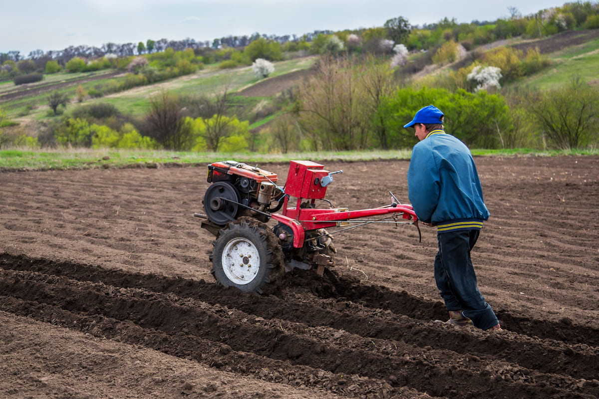 O trabalho com o microtrator é demonstrado por um homem de jaqueta e boné azul operando o equipamento agrícola vermelho enquanto caminha pelo campo arado.