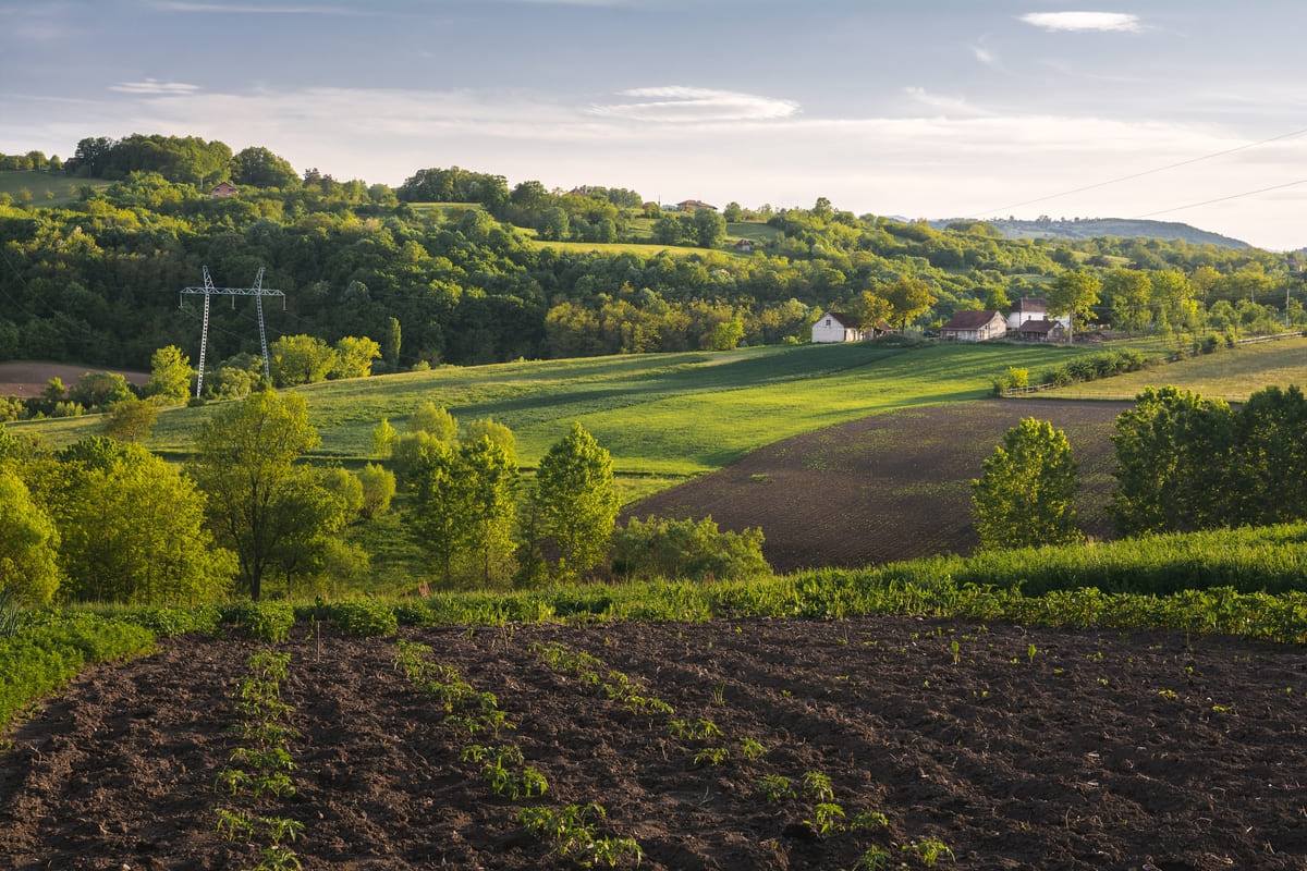Paisagem de colinas verdes com pequenas plantações e casas em terras agrícolas.