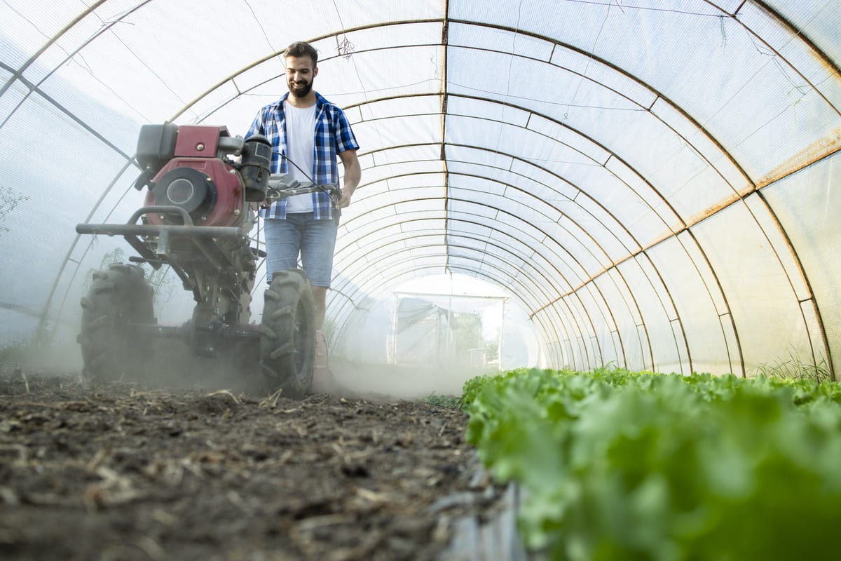 Agricultor a utilizar motocultivador numa estufa para o manejo de solo.