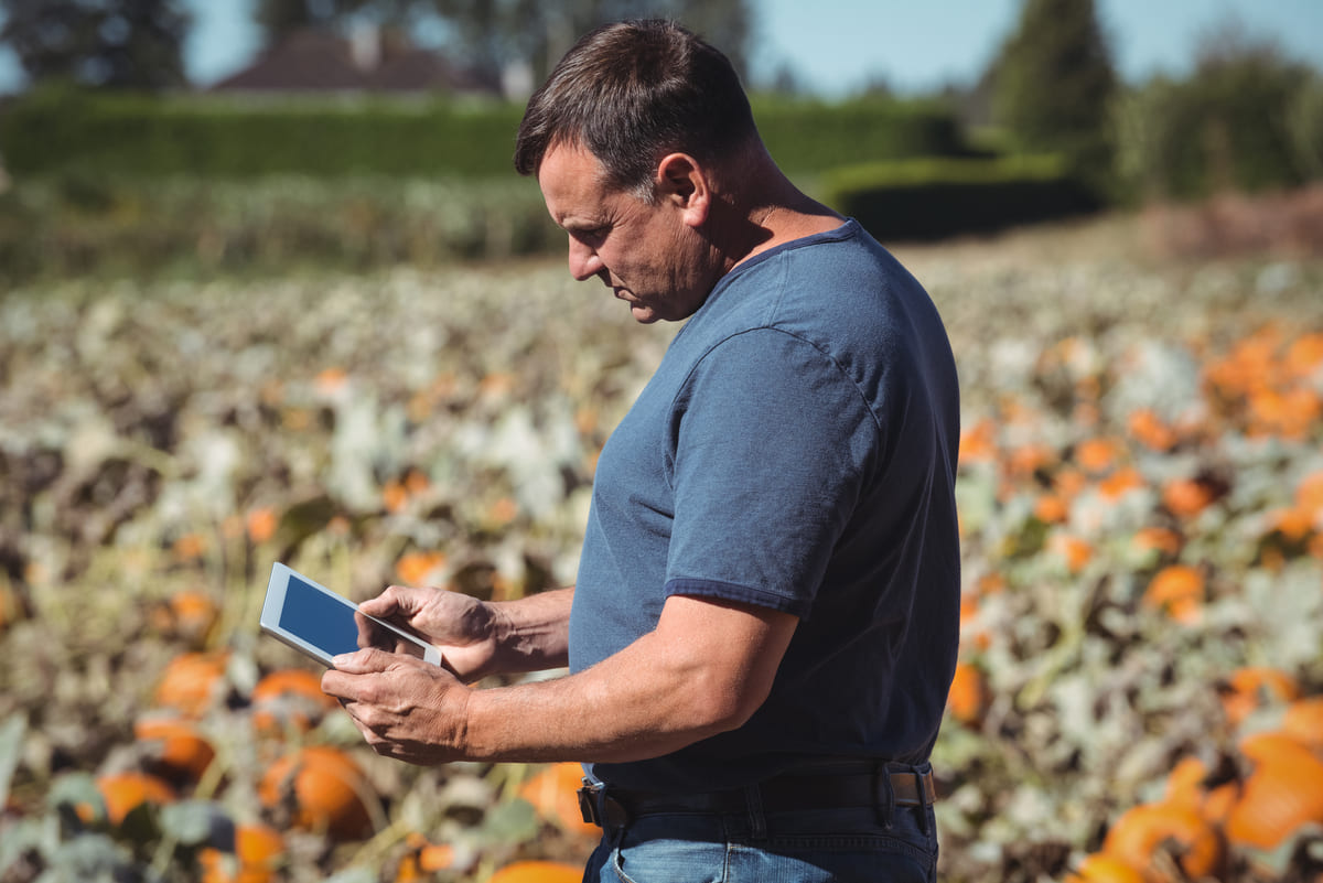 Produtor rural na plantação consultando dados de telemetria agrícola no tablet.